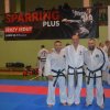 Seminaria » Seminarium - sparring plus