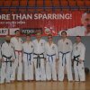 Seminaria » More than sparring 2018